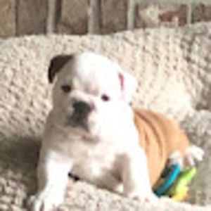 Meet your Posher, Beverly